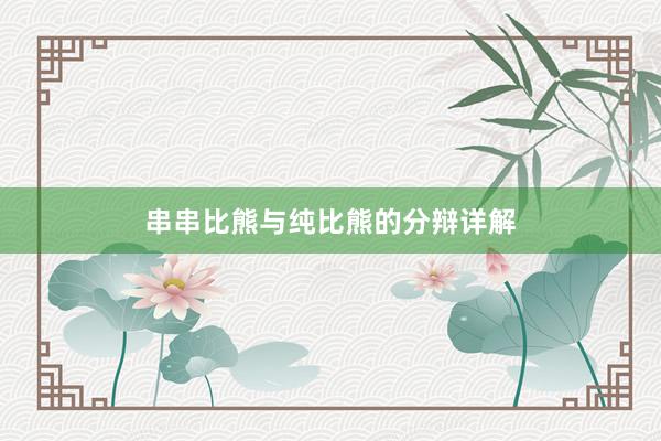 串串比熊与纯比熊的分辩详解