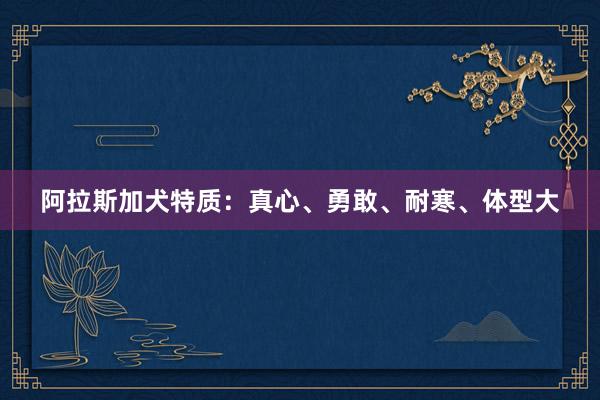 阿拉斯加犬特质：真心、勇敢、耐寒、体型大